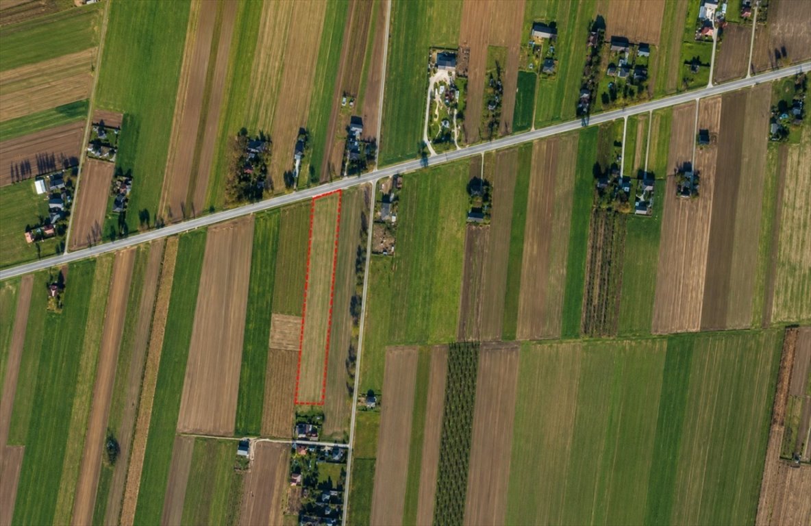 Działka inwestycyjna 24 400 m² z gotowym wjazdem DK62 Kręgi, 1A  24 400m2 Foto 1