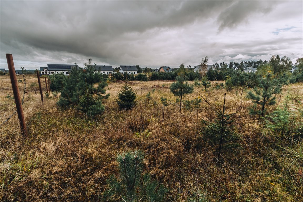 Działka budowlana na sprzedaż Sulęczyno  1 400m2 Foto 5