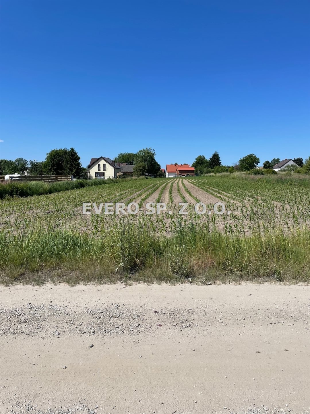 Działka budowlana 900 m² z możliwością zabudowy jednorodzinnej Oleśniczka  900m2 Foto 1