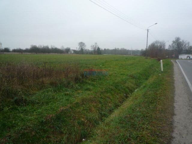 Działka rolna na sprzedaż Prażmów, Prażmów  10 000m2 Foto 1