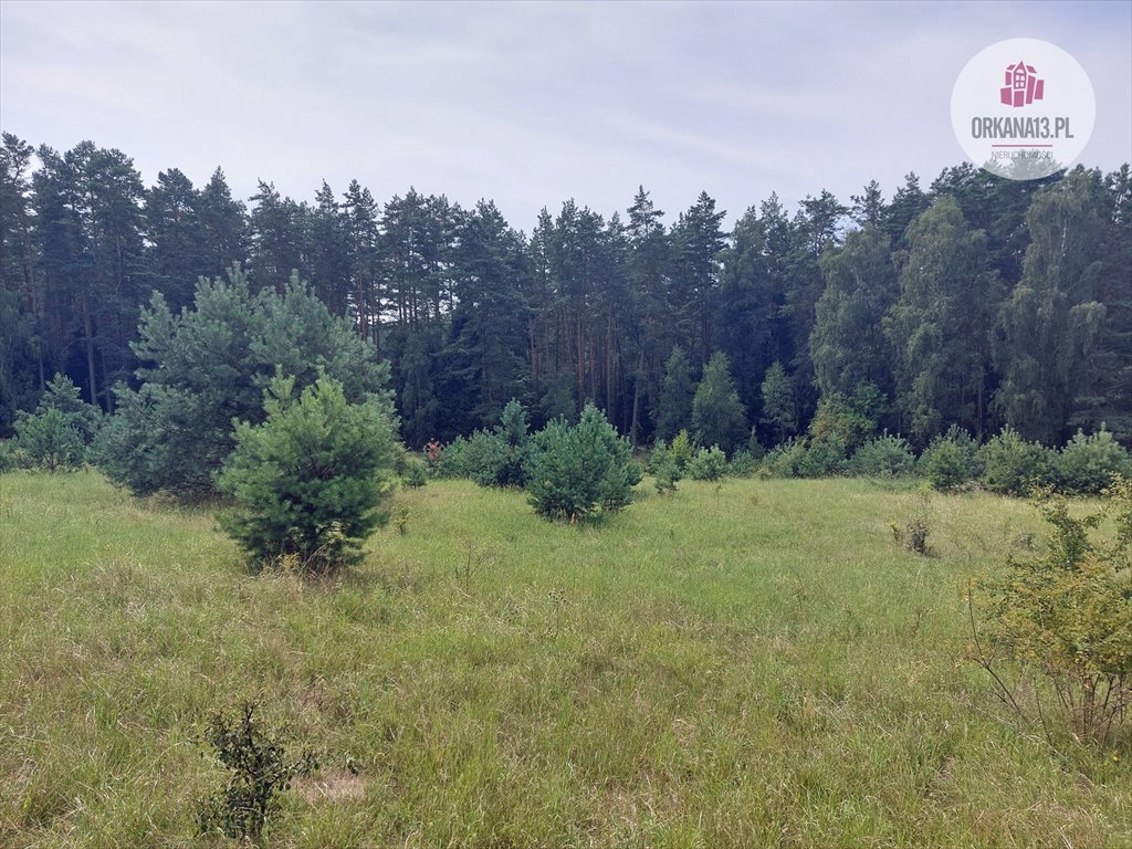 Działka rekreacyjna na sprzedaż Barwiny, Barwiny (osada)  2 302m2 Foto 4