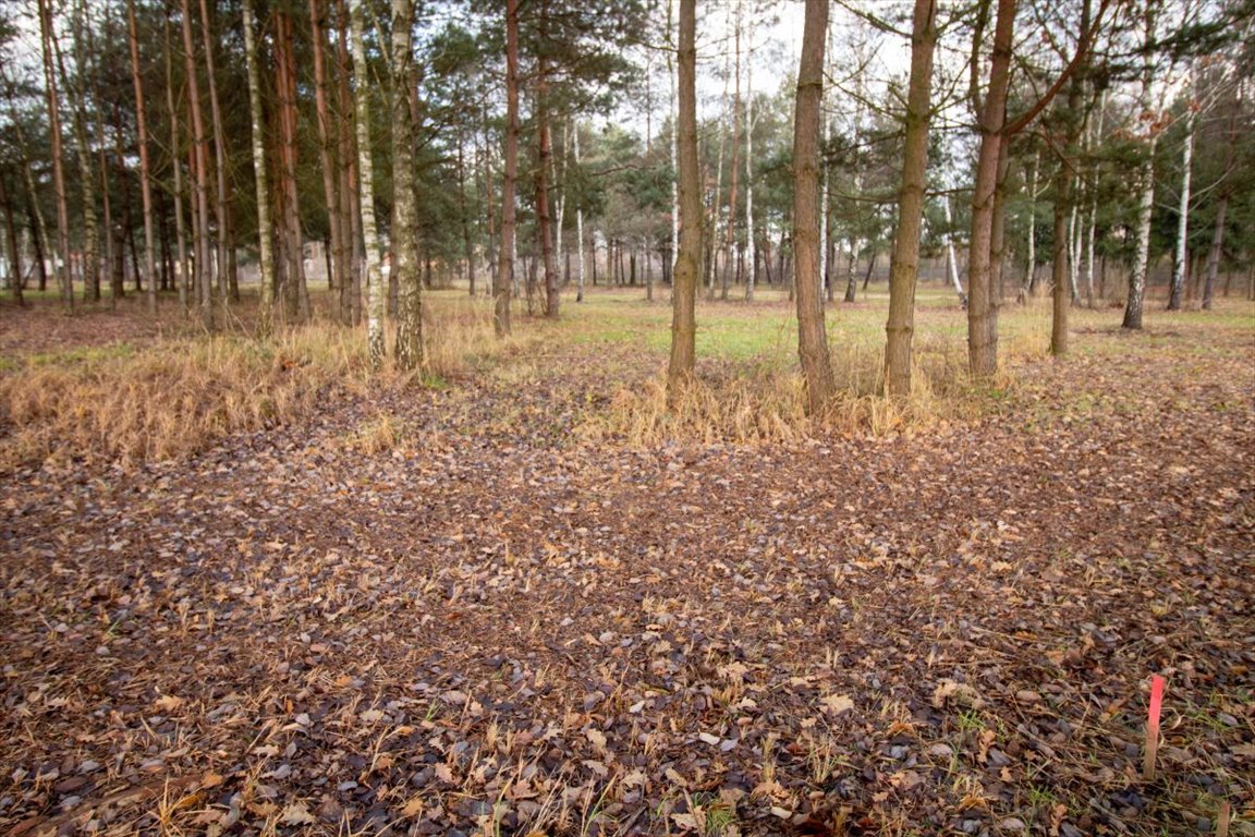 Działka budowlana na sprzedaż Koszęcin, Słowików  1 325m2 Foto 9