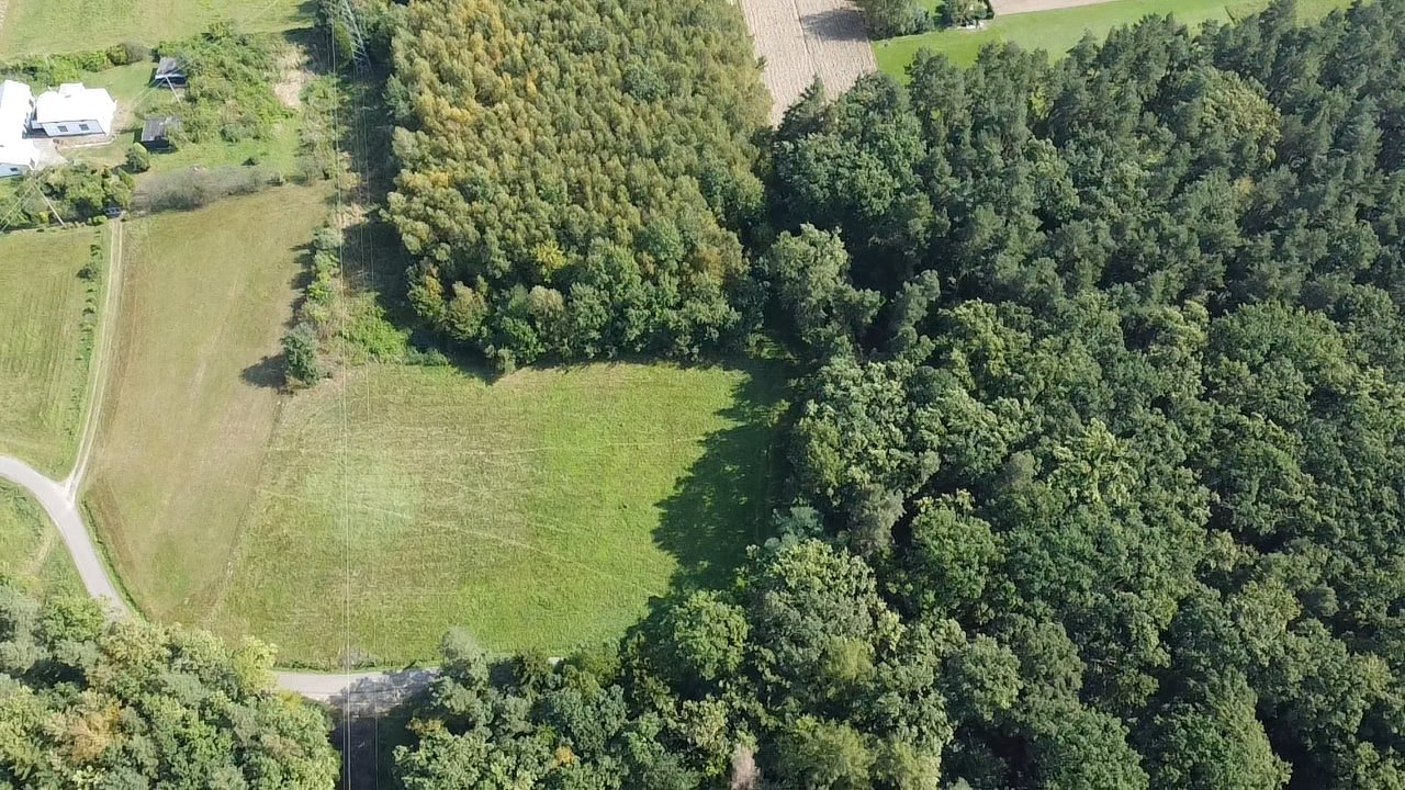 Działka budowlana na sprzedaż Kobylanka  6 000m2 Foto 2