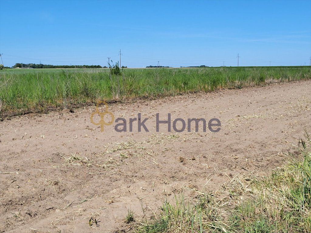 Działka budowlana na sprzedaż Kościan, Kurza Góra  725m2 Foto 5