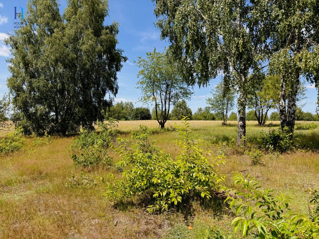 Działka rolna na sprzedaż Łagiewniki Nowe, Słoneczna  1 089m2 Foto 4