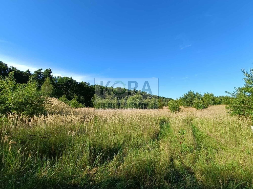 Działka inna na sprzedaż Wagowo  1 000m2 Foto 1