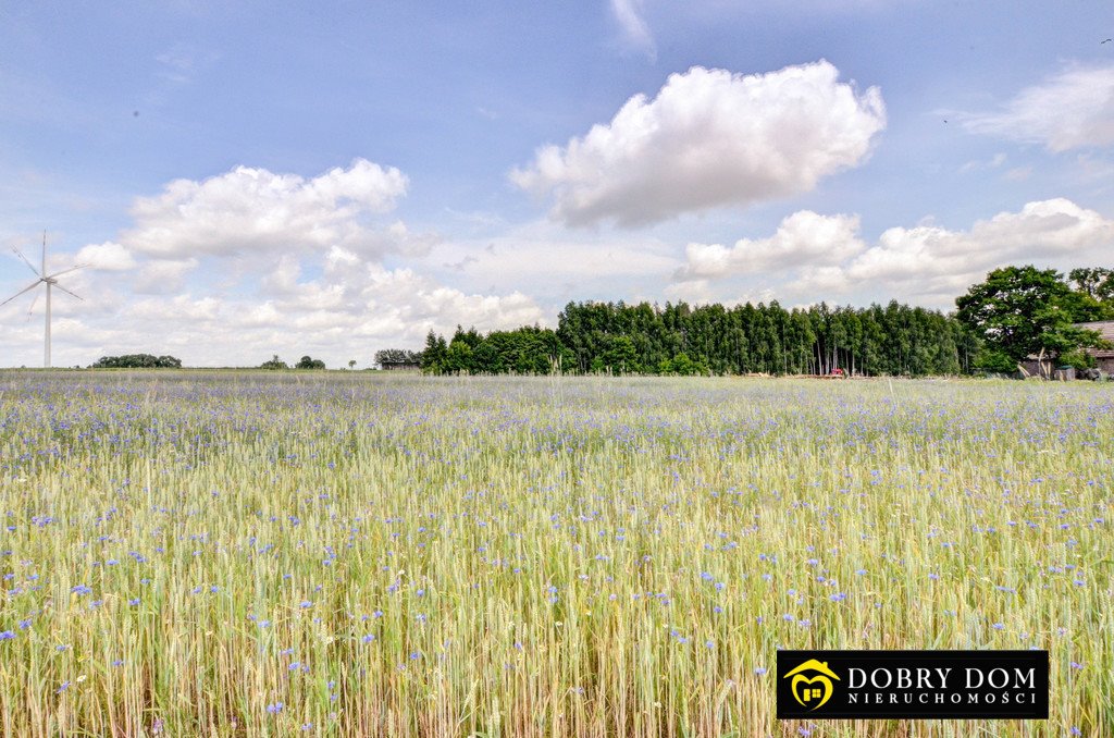 Działka rolna na sprzedaż Suwałki  3 000m2 Foto 17