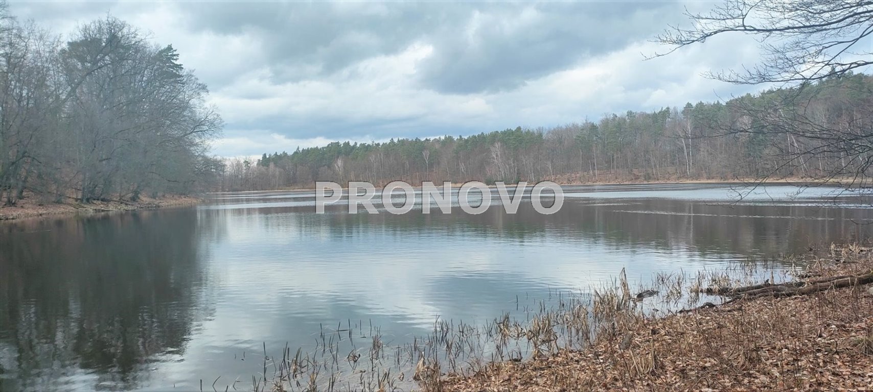 Działka inna na sprzedaż Pławno  11 300m2 Foto 20