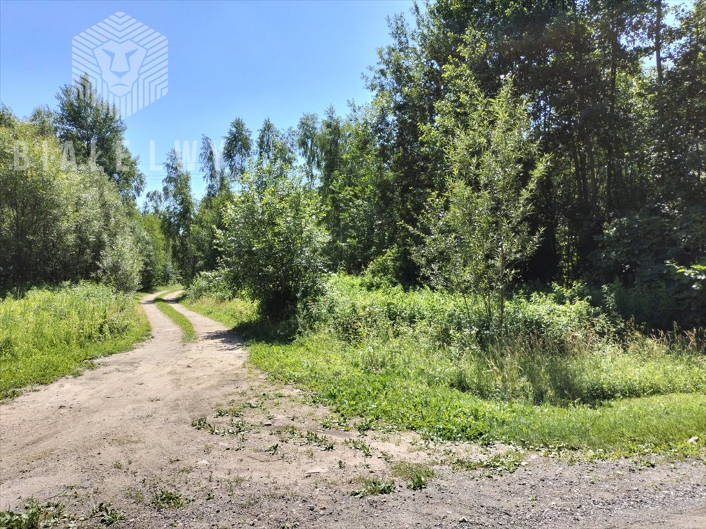 Działka rekreacyjna na sprzedaż Wólka Wybraniecka  14 000m2 Foto 3