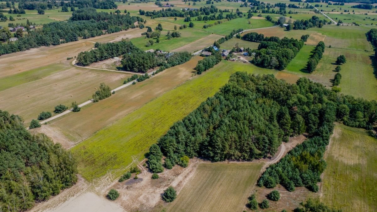 Działka budowlana na sprzedaż Marianowo  29 831m2 Foto 4