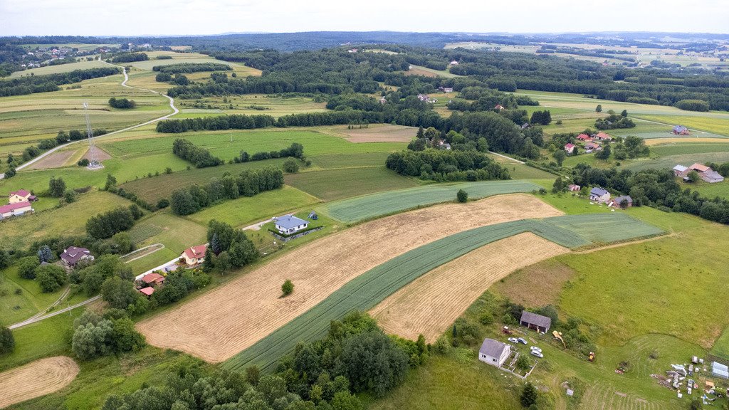 Działka budowlana na sprzedaż Niechobrz  18 300m2 Foto 10