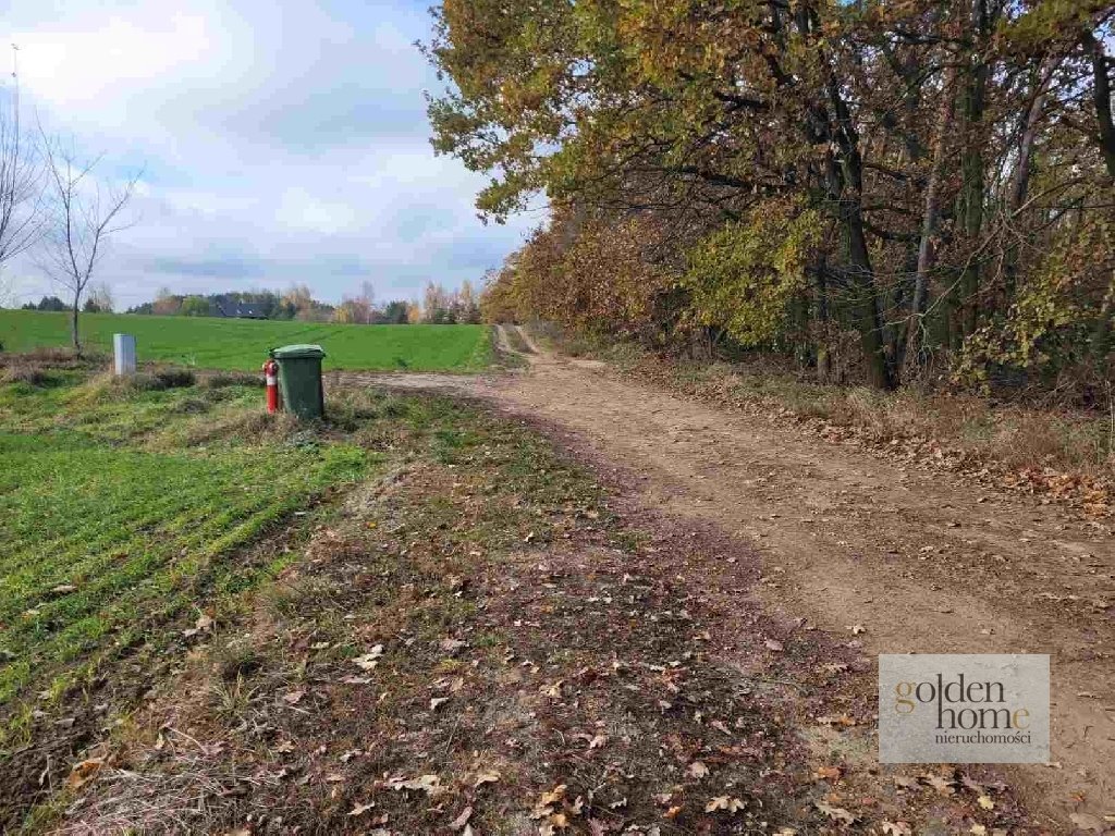 Działka inna na sprzedaż Grzebienisko, Huby  2 592m2 Foto 3