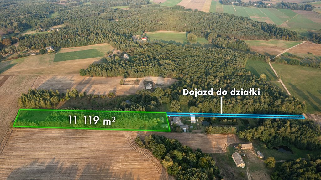 Dom na sprzedaż Trzcianka  11 818m2 Foto 1