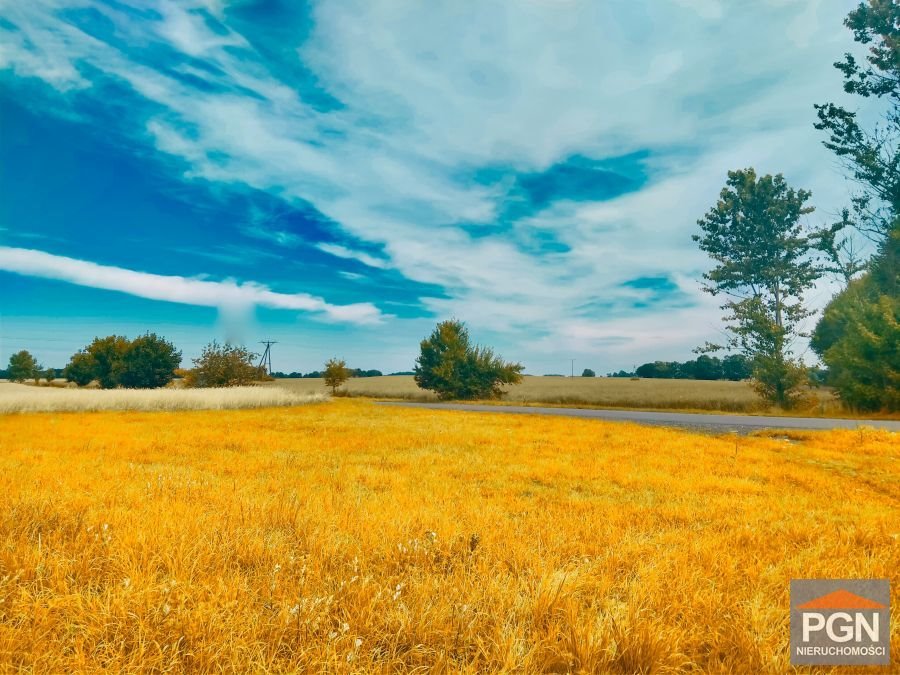 Działka 2711 m² z dostępem do kanalizacji i drogi asfaltowej PŁOTY OKOLICA  2 711m2 Foto 1