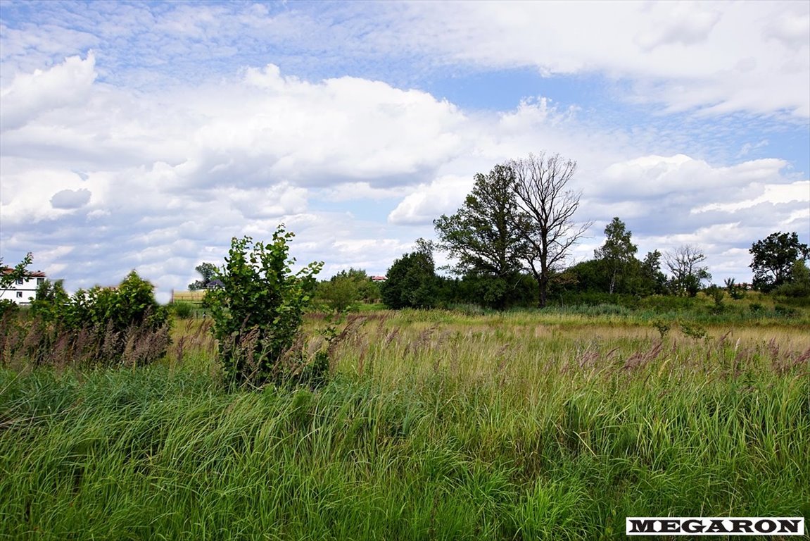 Działka inna na sprzedaż Brzeziny-Kolonia  1 491m2 Foto 6