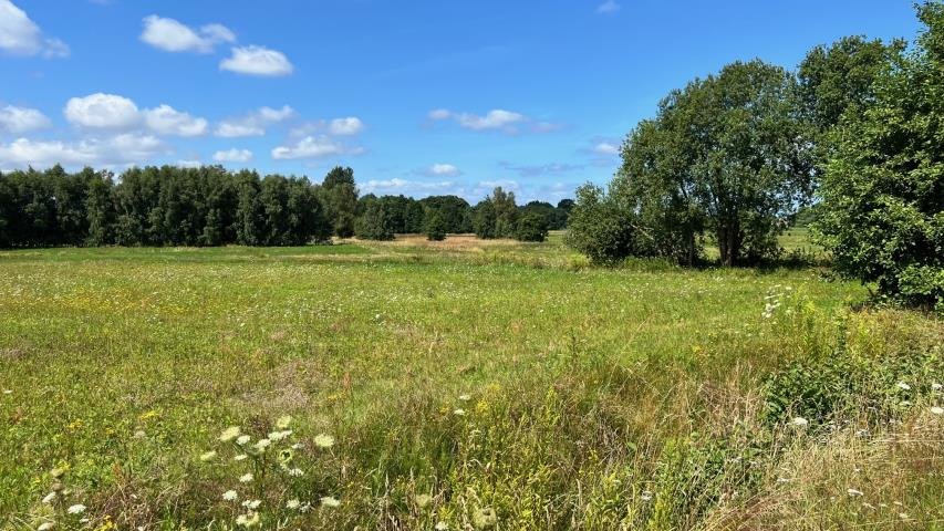 Działka budowlana na sprzedaż Budzistowo, Stare Miasto  2 387m2 Foto 7