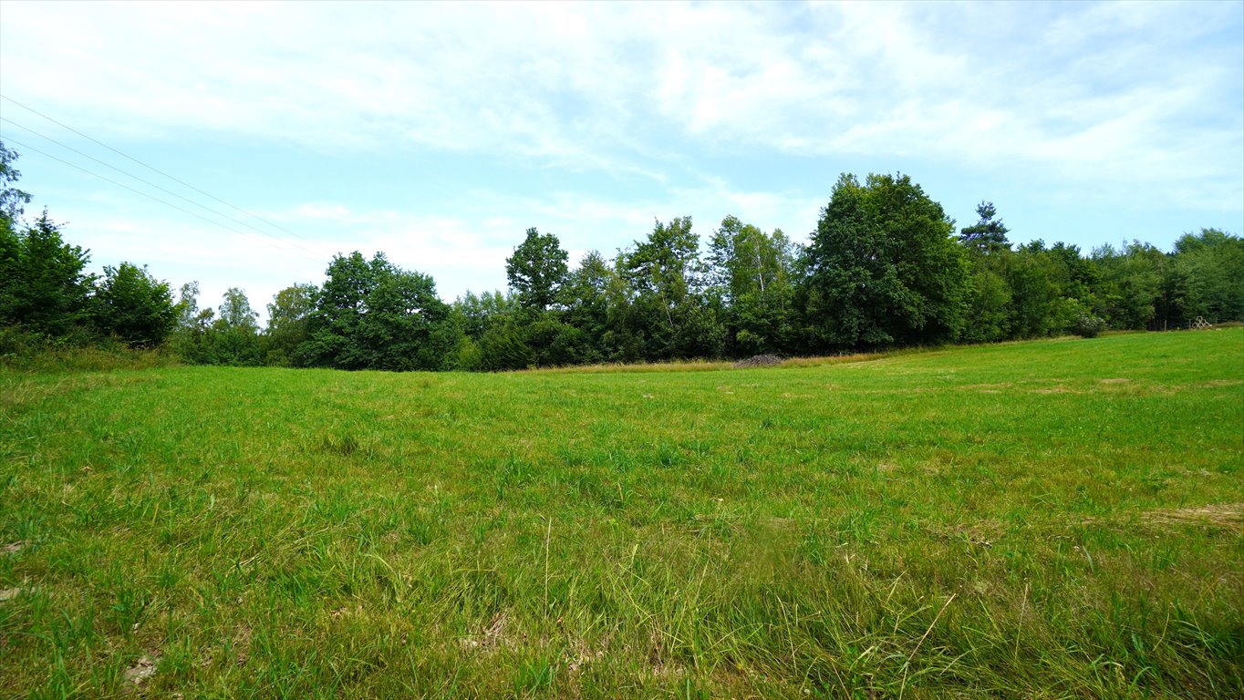 Działka budowlana na sprzedaż Ropica Górna  1 590m2 Foto 2