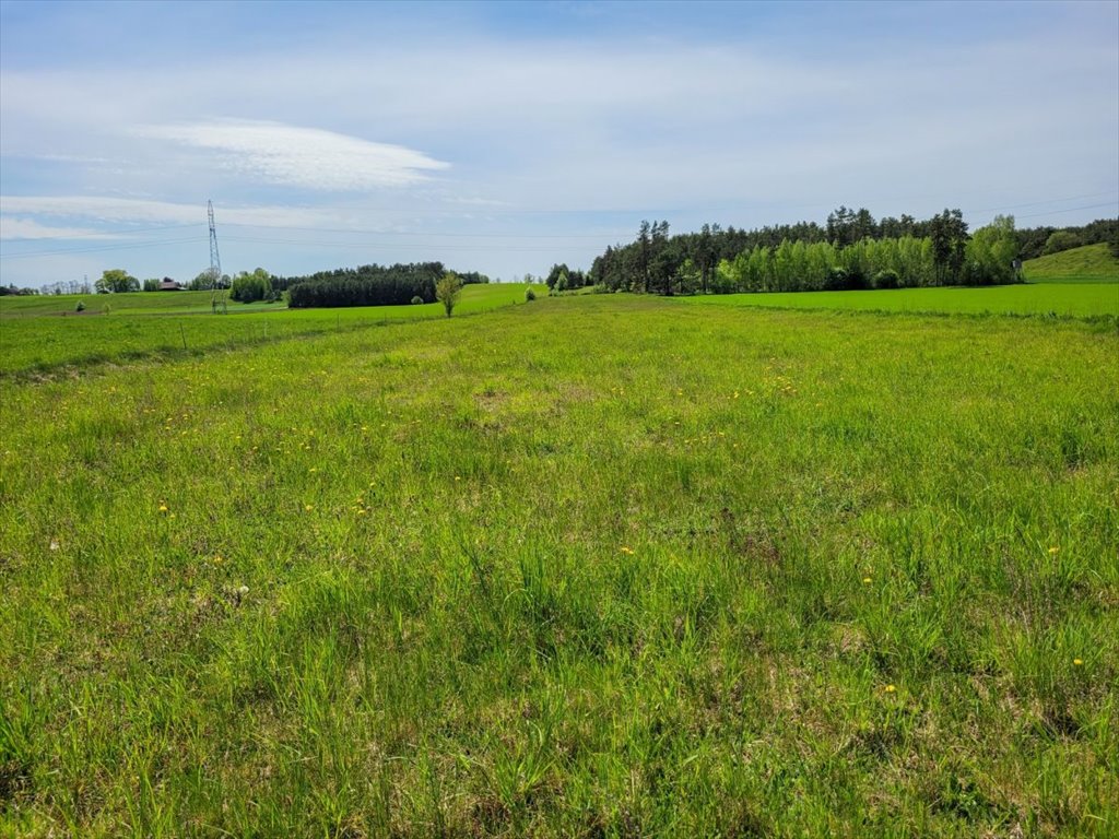 Działka budowlana na sprzedaż Osowa  18 700m2 Foto 1