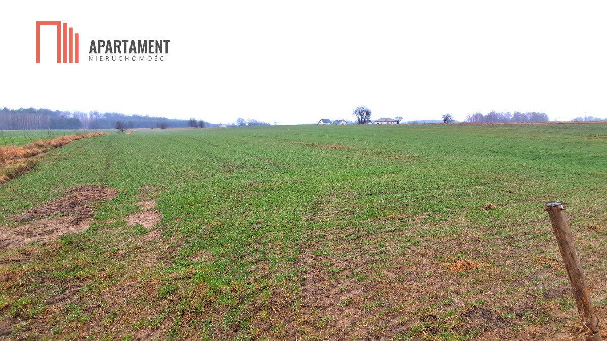 Działka 9000 m² z warunkami zabudowy, blisko jeziora Świekatowo  1 000m2 Foto 1