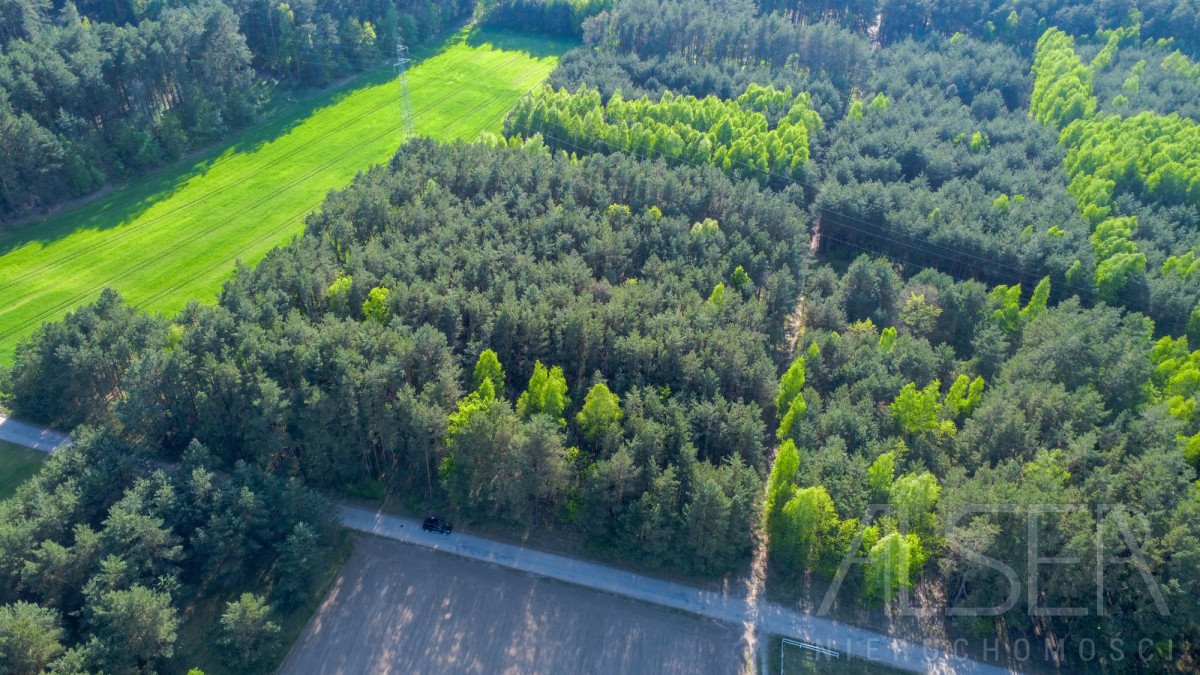 Działka rekreacyjna na sprzedaż Nowe Bosewo, Lipnik  1 245m2 Foto 3