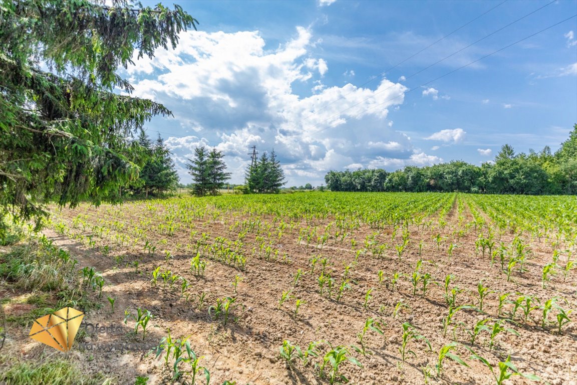 Działka inna na sprzedaż Konopnica, Zemborzyce Tereszyńskie  14 359m2 Foto 4