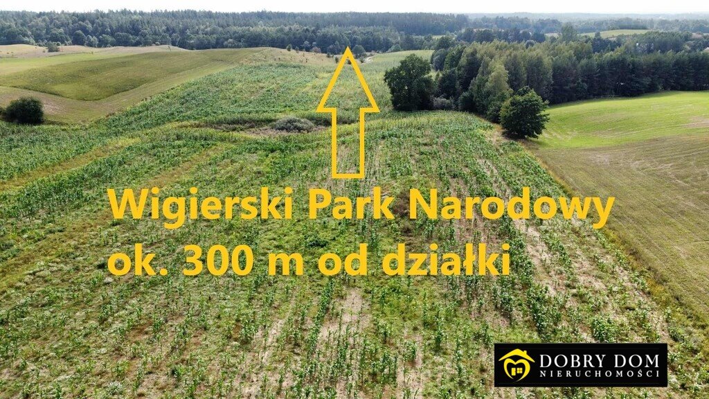 Działka 1,9 ha pod inwestycję - blisko Wigierskiego Parku Suwałki  19 478m2 Foto 1