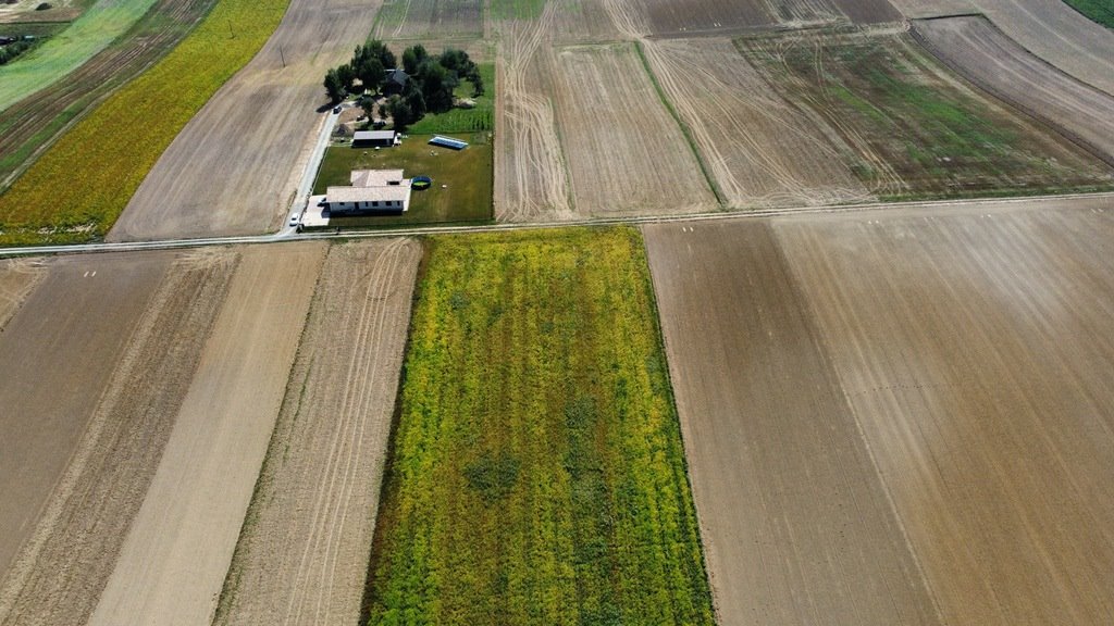 Działka rolna na sprzedaż Będzienica  5 800m2 Foto 1