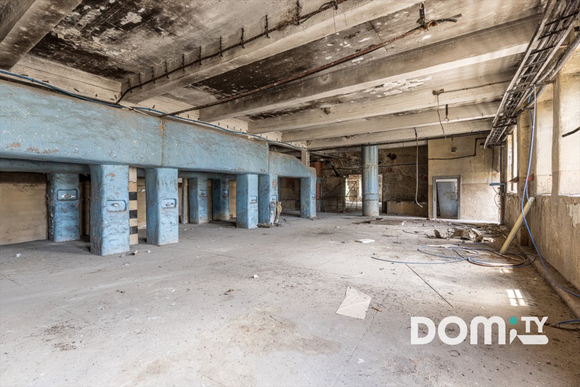 Lokal użytkowy na sprzedaż Dąbrowica  11 500m2 Foto 37