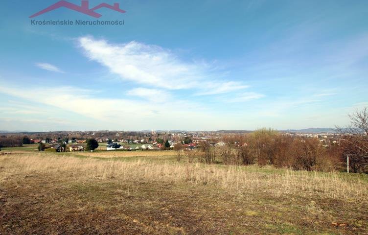 Polecam widokową działkę 30 ar z możliwością zabudowy w Chlebnej Chlebna  3 000m2 Foto 1
