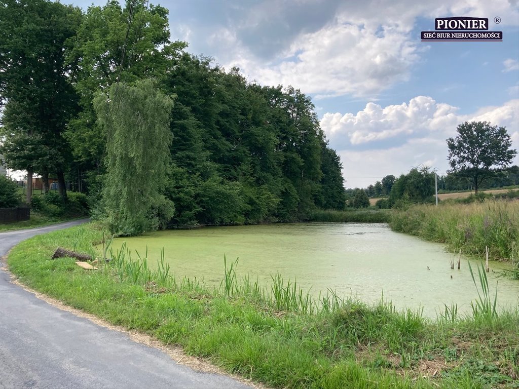 Działka budowlana na sprzedaż Hażlach  6 508m2 Foto 3