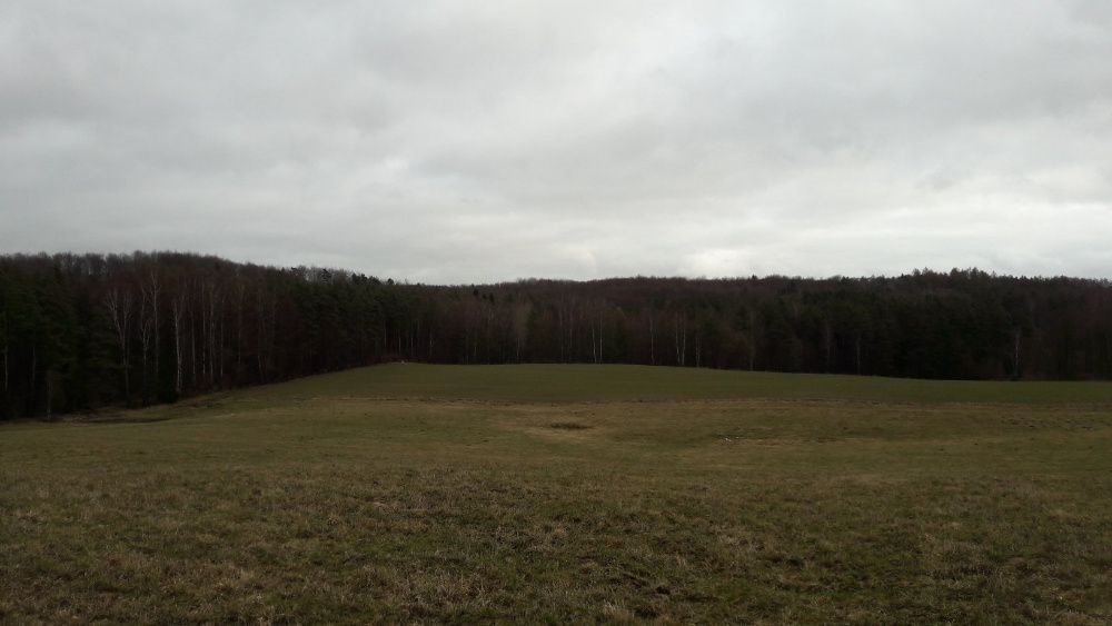 Działka budowlana na sprzedaż Sucha Huta 3 003m2 Foto 1 Działka budowlana na sprzedaż Sucha Huta 3 003m2 Foto 1