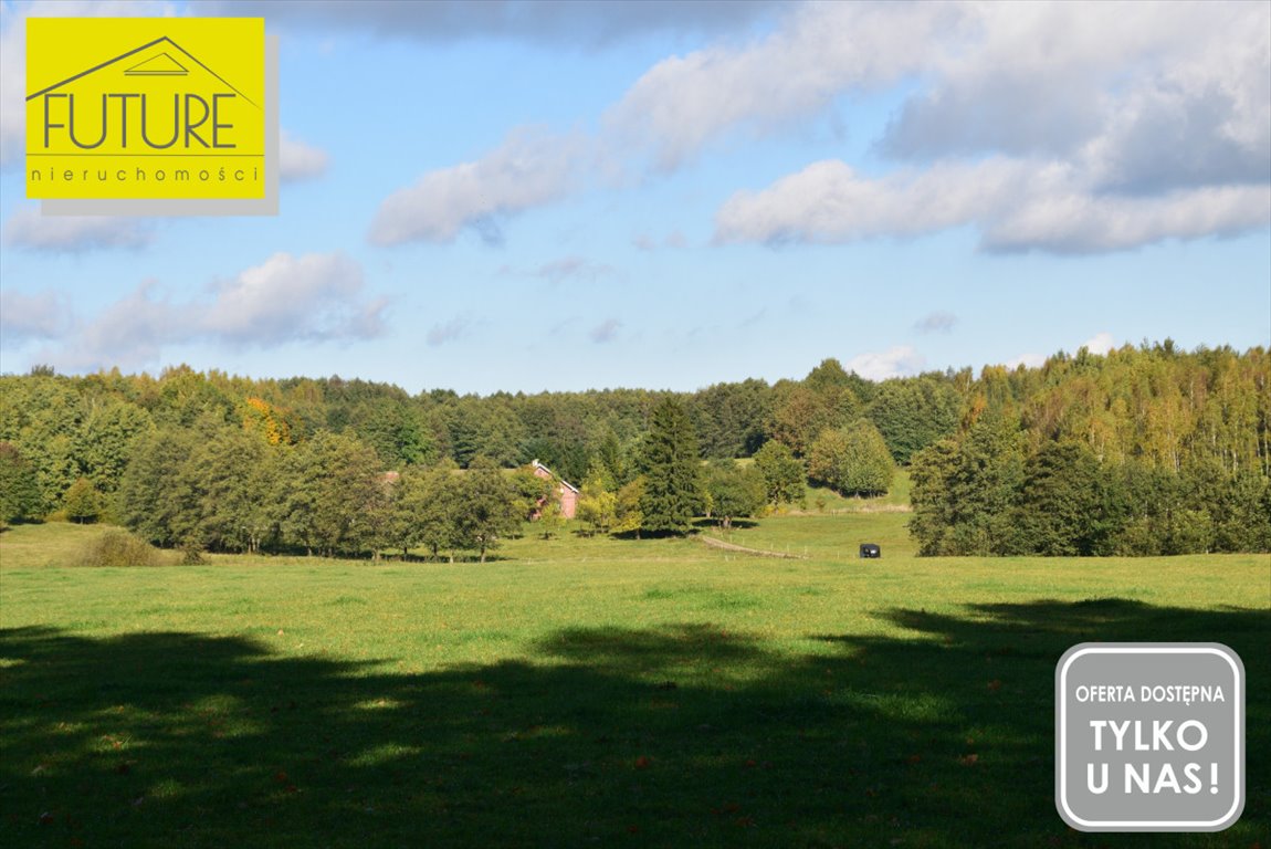 Działka leśna na sprzedaż Borzynowo  21 600m2 Foto 5