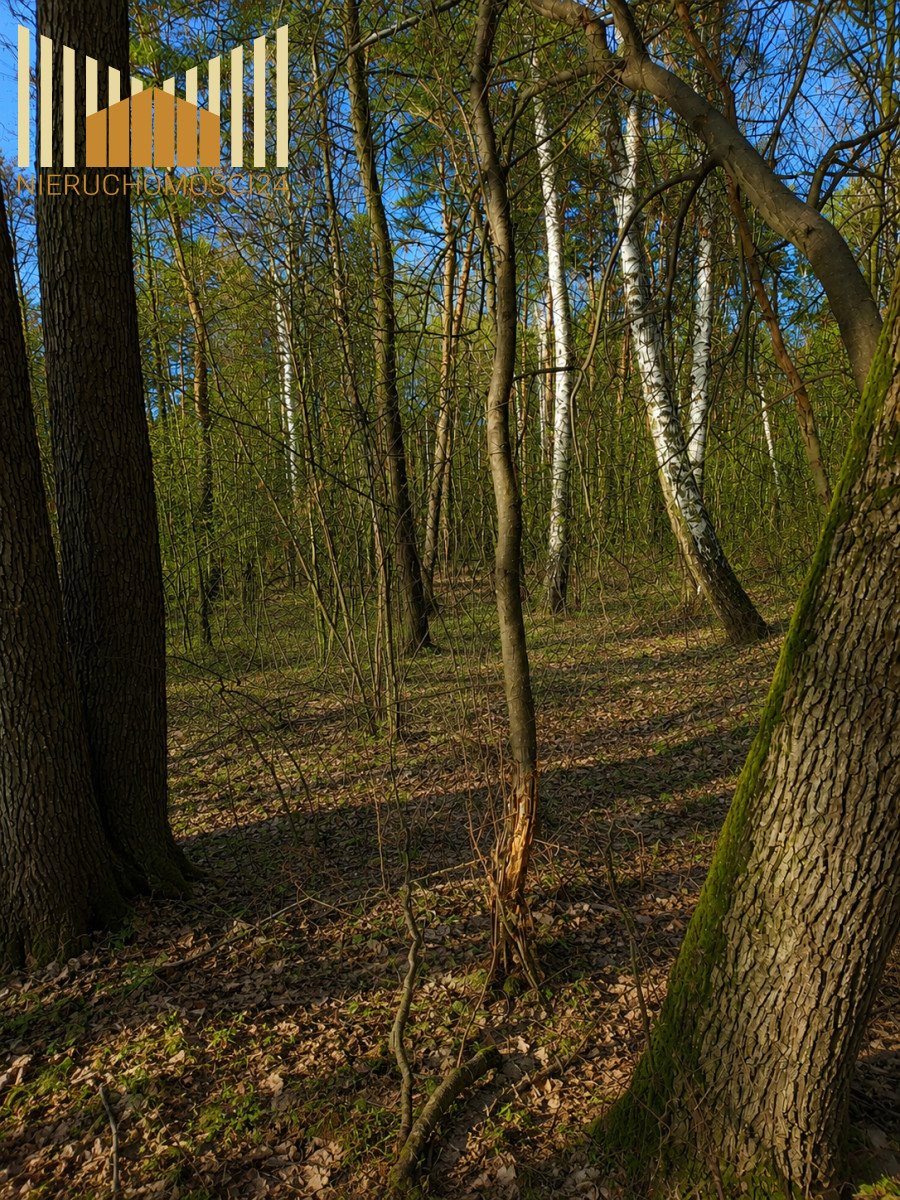 Polecam dużą działkę 3281 m² z lasem i mediami w Wawrze Warszawa, Wawer, Żarecka  3 281m2 Foto 1