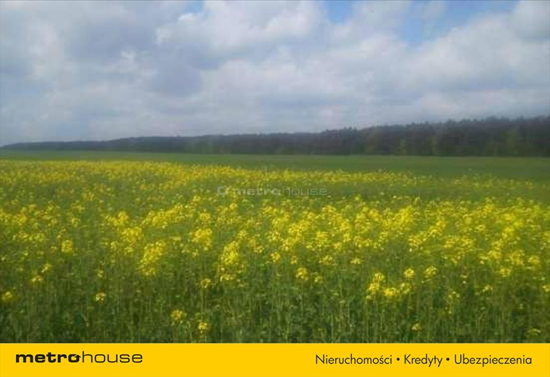 Działka inna na sprzedaż Zajączkowo  75 000m2 Foto 5