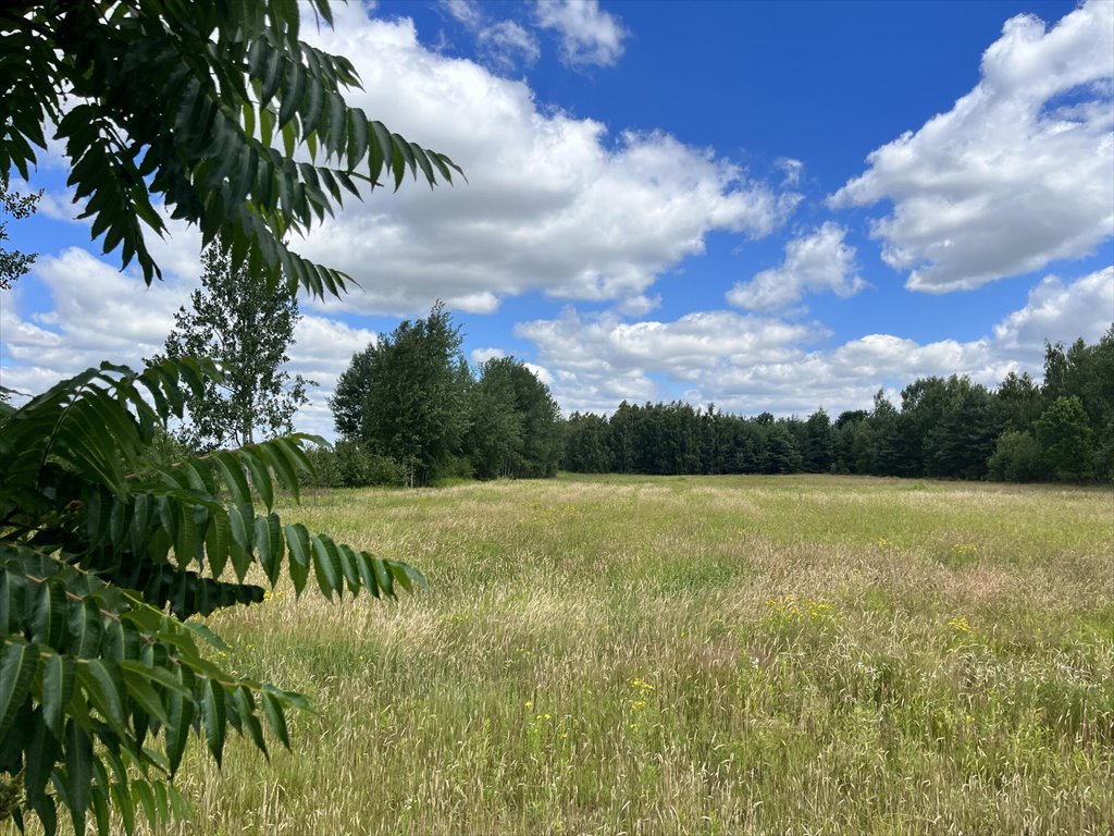 Działka budowlana na sprzedaż Helenów, 100-lecia  7 765m2 Foto 1