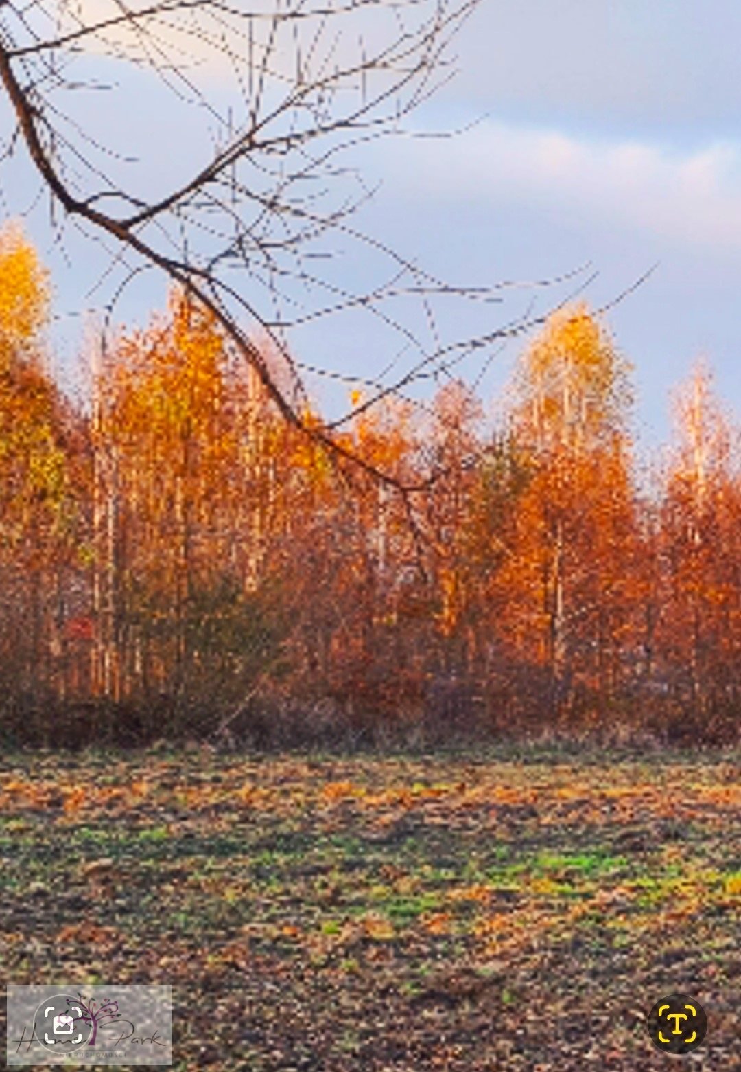 Działka budowlana na sprzedaż Feliksów  1 240m2 Foto 5