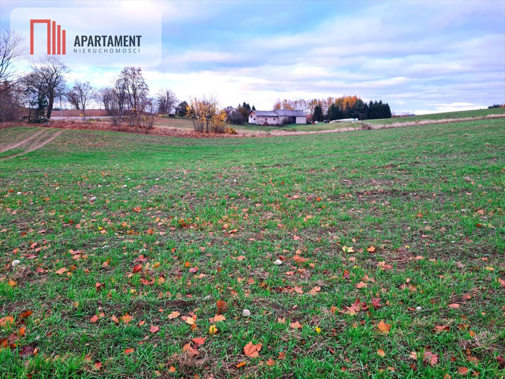 Działka budowlana na sprzedaż Roztoka  1 051m2 Foto 15