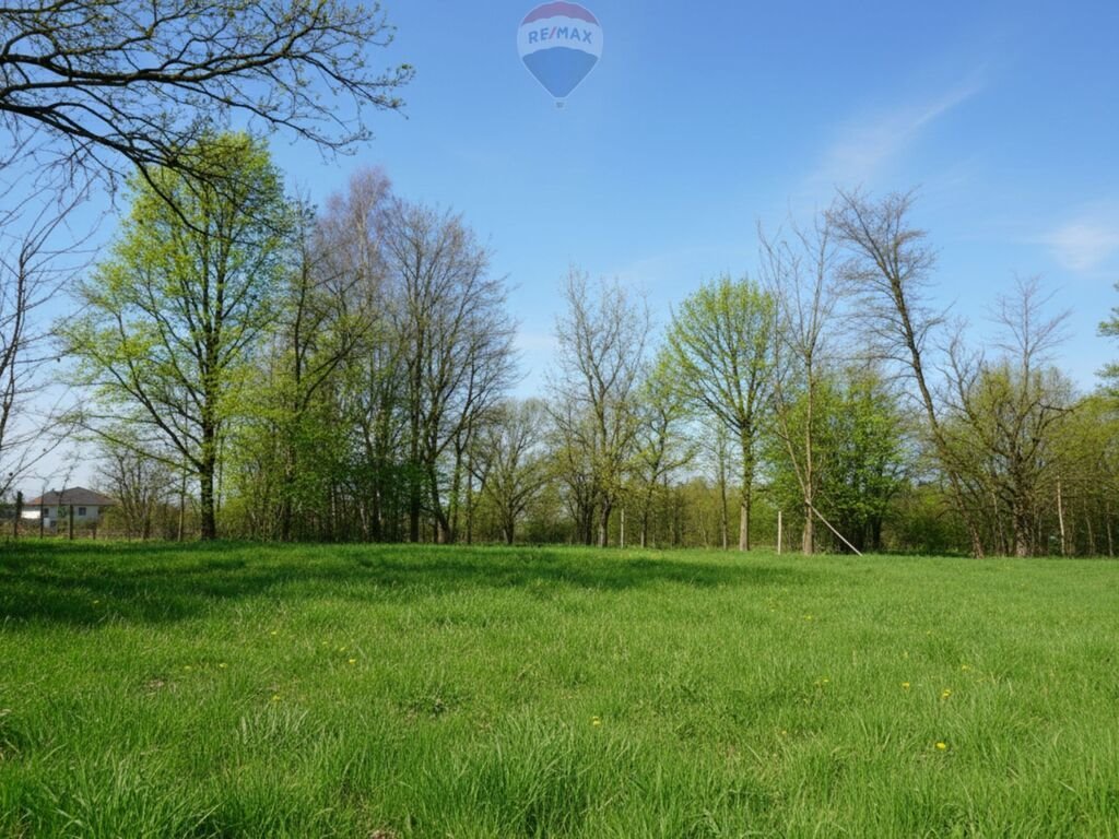 Działka 4759 m² pod dom i działalność w Jejkowicach Jejkowice, Niedobczycka  4 759m2 Foto 1