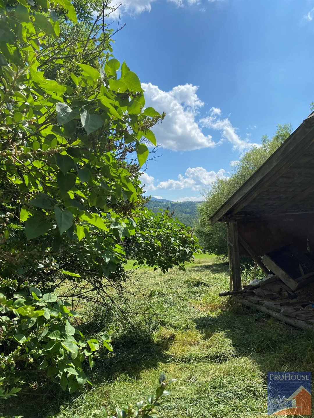 Dom na sprzedaż Stara Wieś  100m2 Foto 2