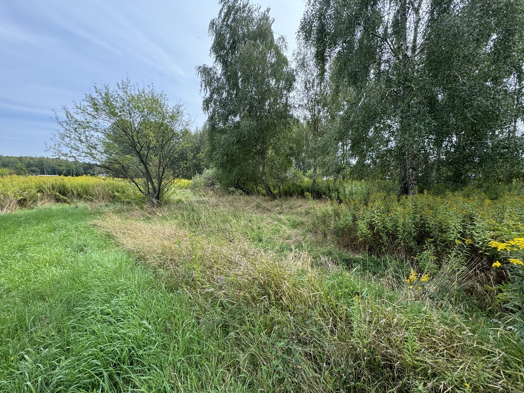 Działka budowlana na sprzedaż Borowina  2 200m2 Foto 2