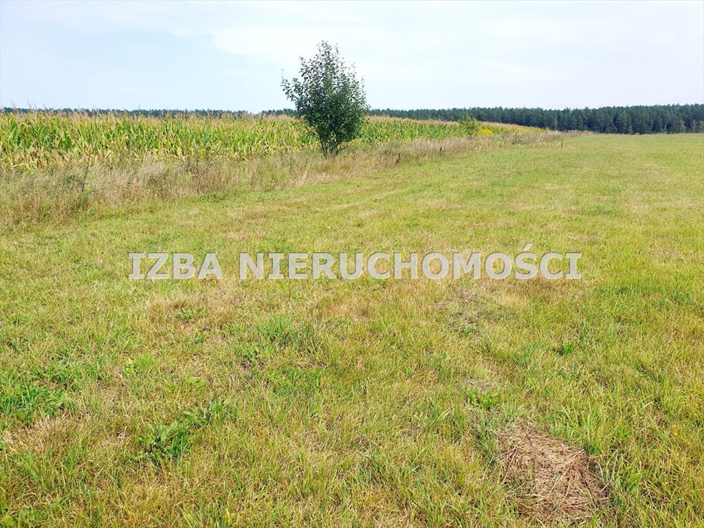 Działka rekreacyjna na sprzedaż Grabnik  3 400m2 Foto 5