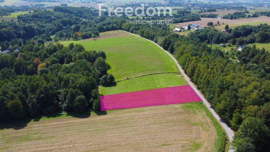 Działka inna na sprzedaż Korczyna, Mroczki  2 000m2 Foto 3