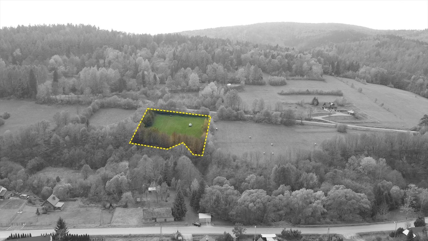 Zapraszam do zakupu działki 8,3 ha w Małastowie z widokami i naturą Małastów  8 300m2 Foto 1