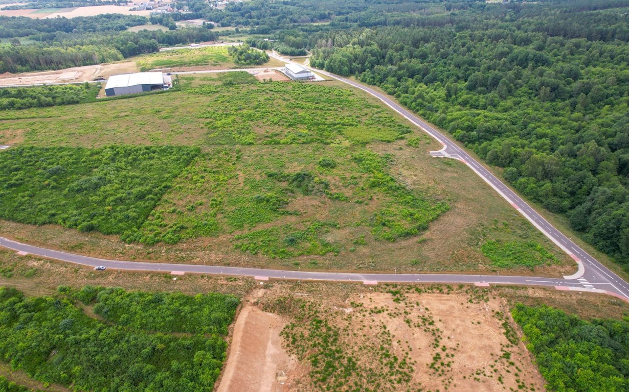 Działka inwestycyjna na sprzedaż Słupsk  20 008m2 Foto 5