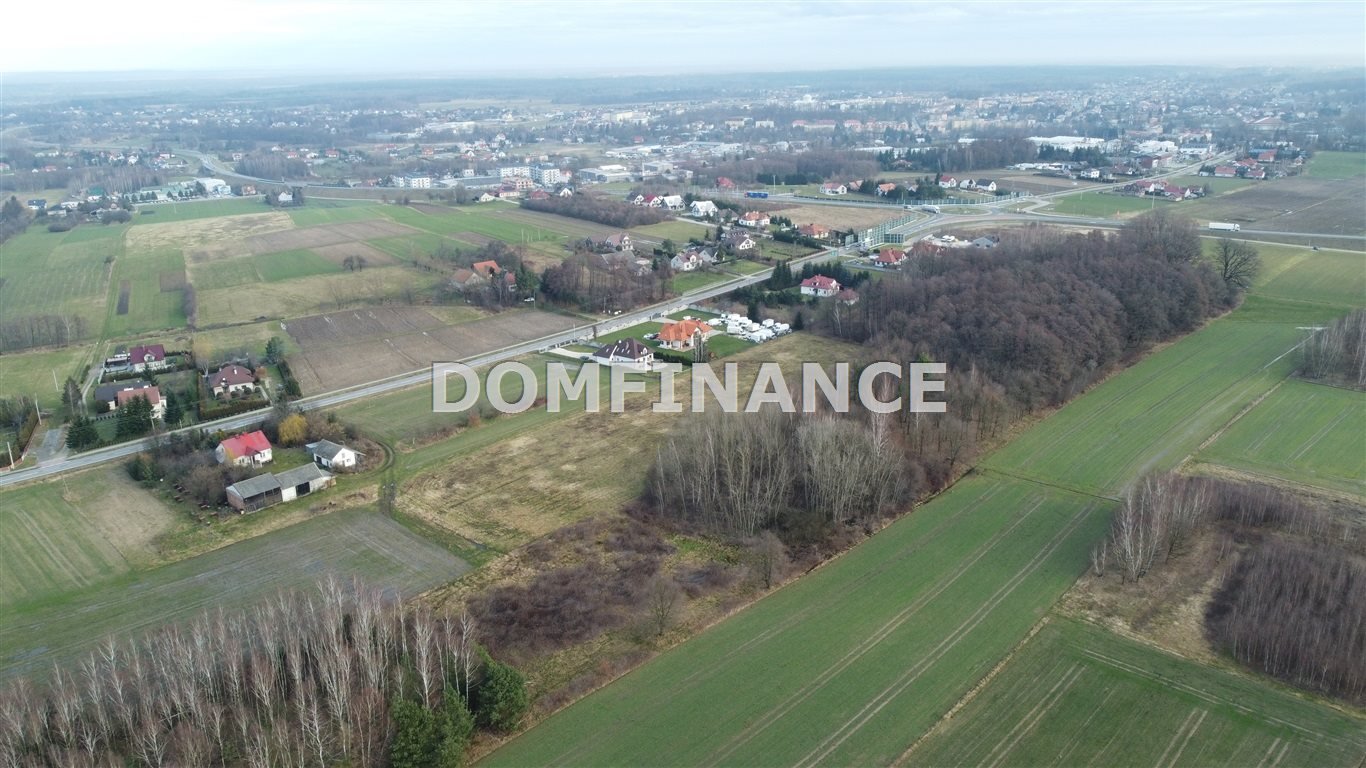 Działka inna na sprzedaż Dąbrowa Tarnowska  3 600m2 Foto 4