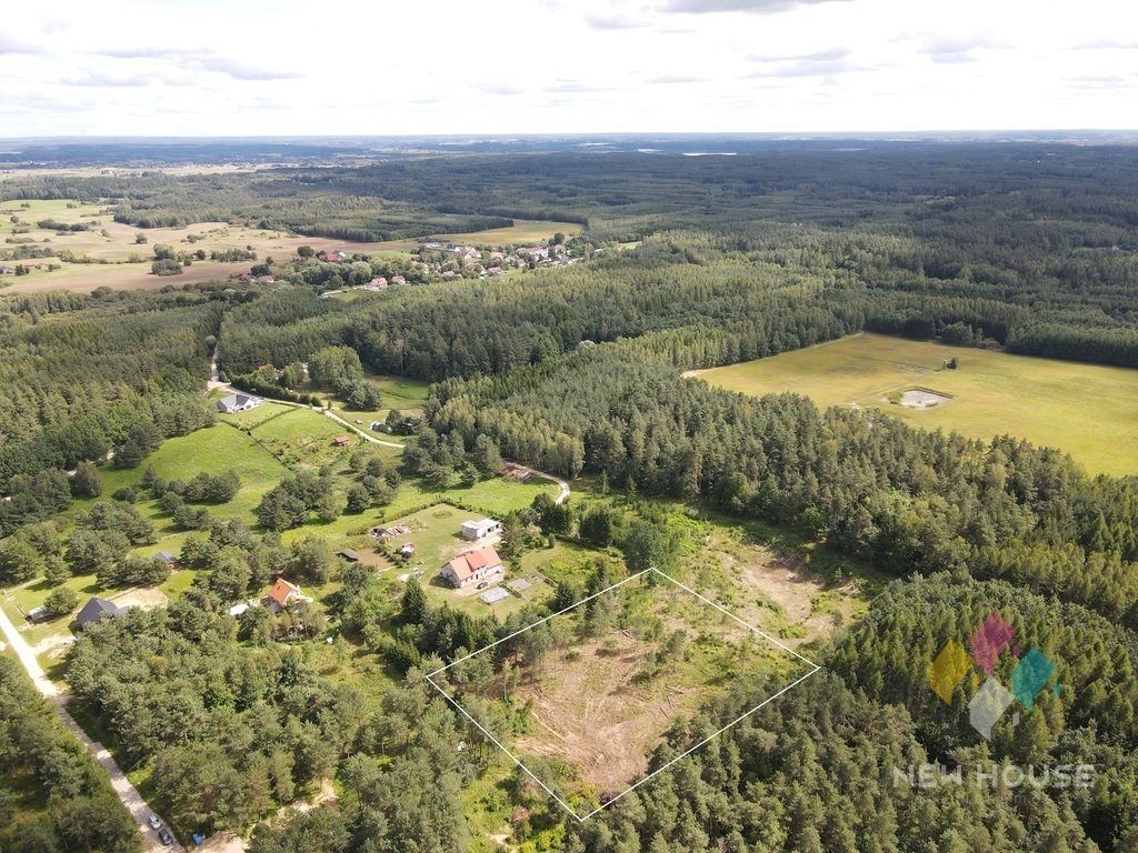 Działka budowlana na sprzedaż Dąbrówka Wielka  8 344m2 Foto 6