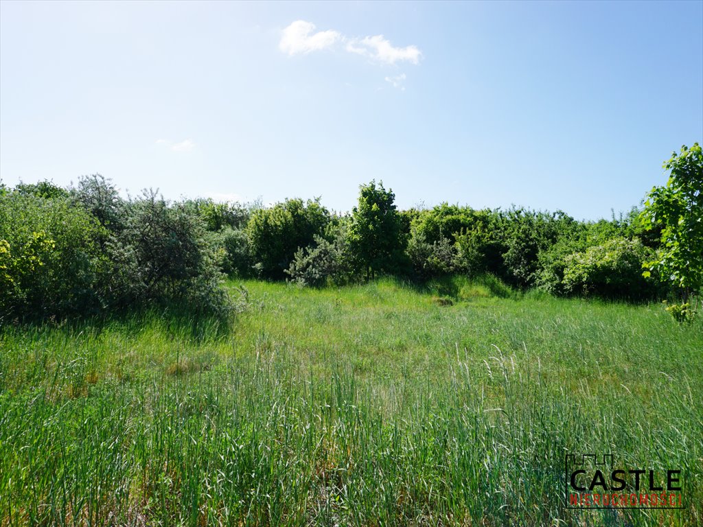 Działka przemysłowa 15 466 m² w Pszczółkach – idealna pod usługi Pszczółki, Żuławska  15 466m2 Foto 1