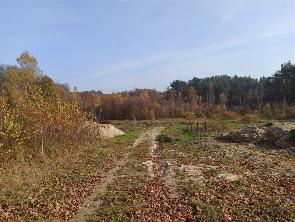 Działka budowlana na sprzedaż Leśniewo, Pucka  4 665m2 Foto 1