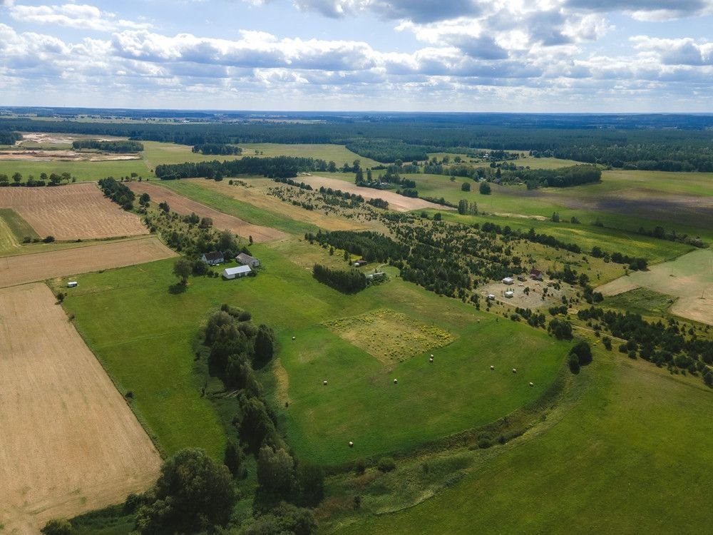 Działka rolna na sprzedaż Targowo  3 365m2 Foto 7