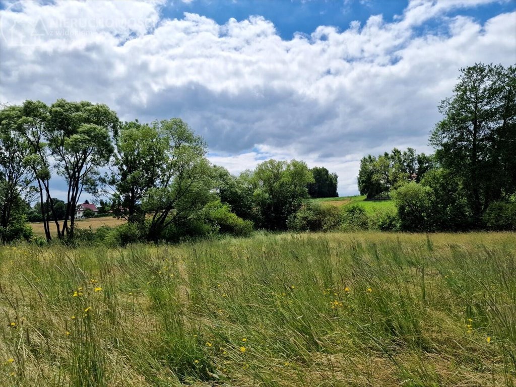 Działka budowlana na sprzedaż Sitnica  10 602m2 Foto 14